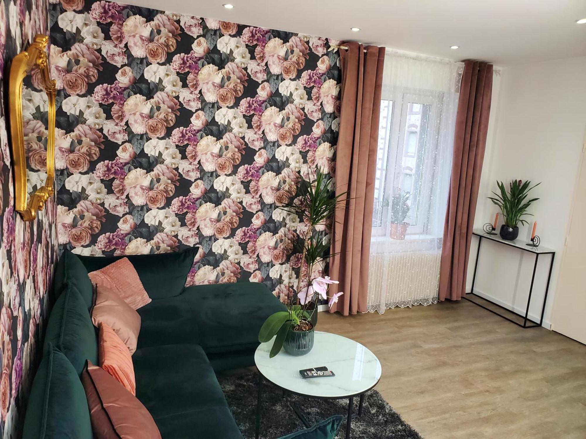 Mirka & Franck Apartment Chic 4 Stars Parking Free Κολμάρ Εξωτερικό φωτογραφία
