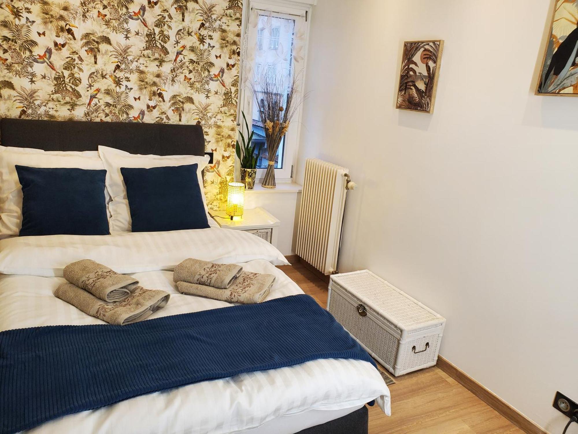 Mirka & Franck Apartment Chic 4 Stars Parking Free Κολμάρ Εξωτερικό φωτογραφία
