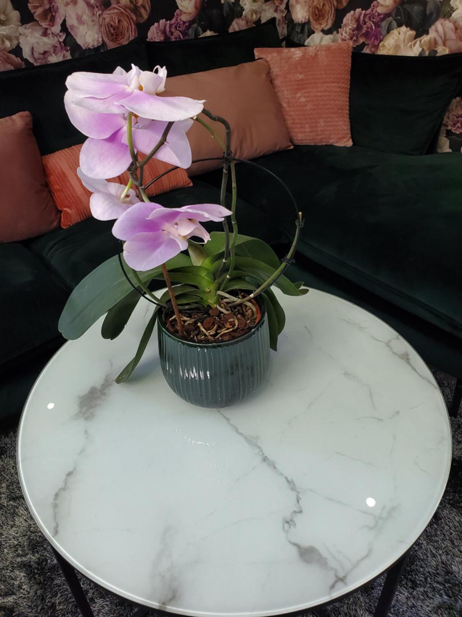 Mirka & Franck Apartment Chic 4 Stars Parking Free Κολμάρ Εξωτερικό φωτογραφία