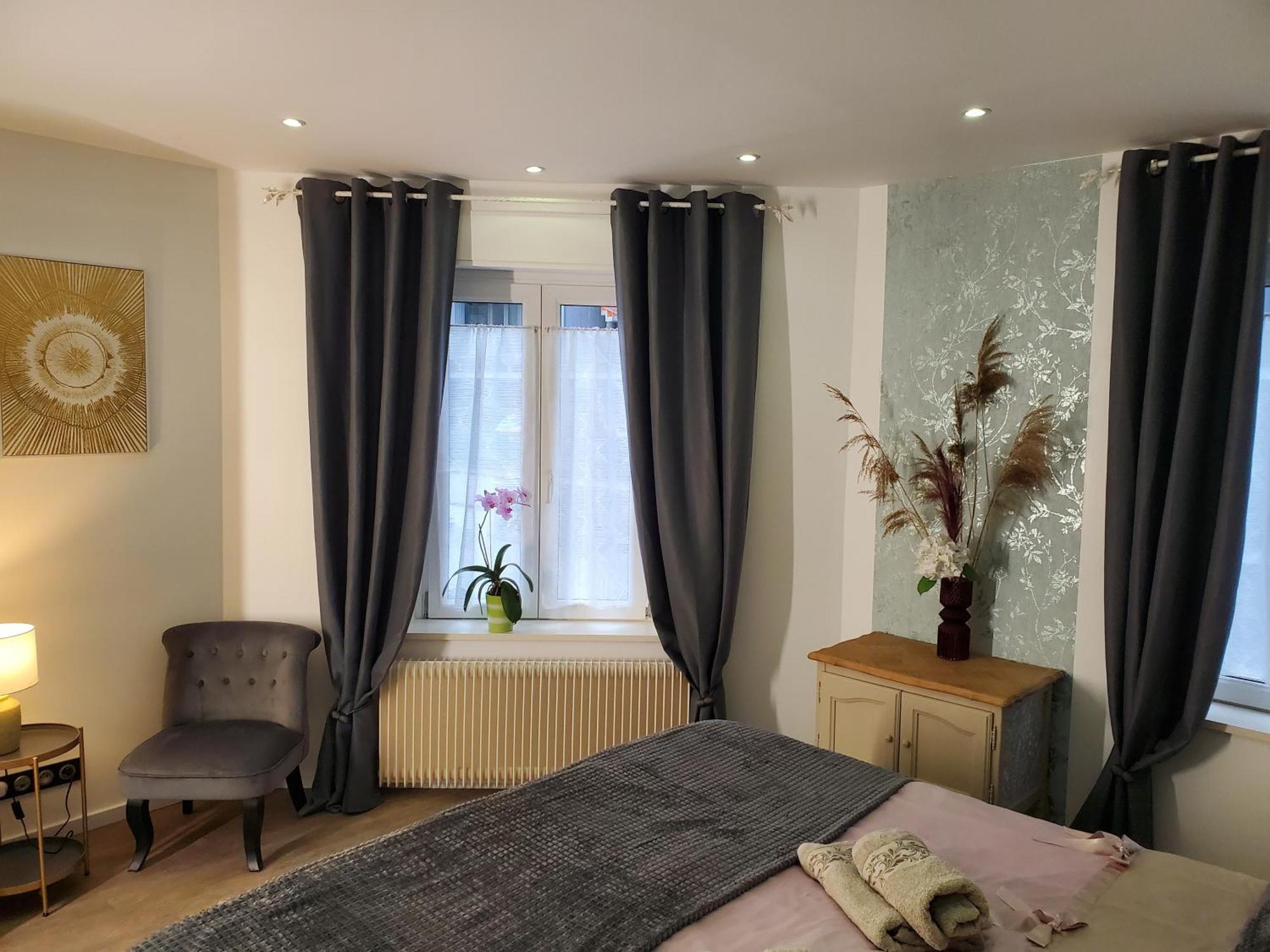 Mirka & Franck Apartment Chic 4 Stars Parking Free Κολμάρ Εξωτερικό φωτογραφία